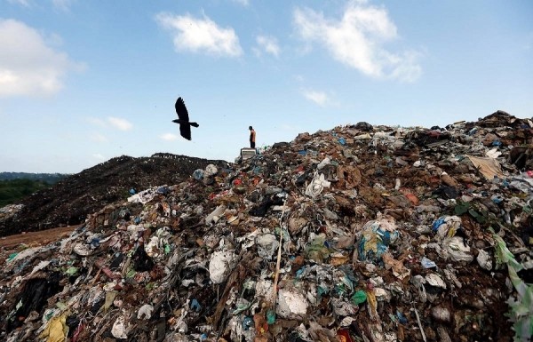 Биоразлагаемые пакеты Биоразлагаемые пакеты