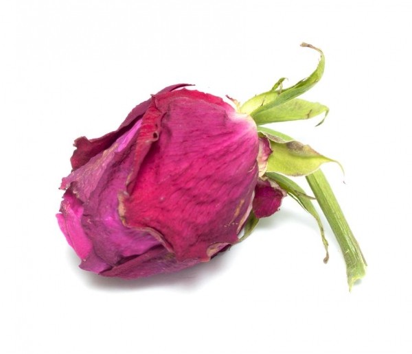 Диспареуния: что делать, если во время секса вы испытываете болевые ощущения Диспареуния: что делать, если во время секса вы испытываете болевые ощущения