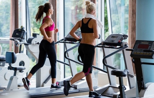 Яблоко на ночь Яблоко на ночь