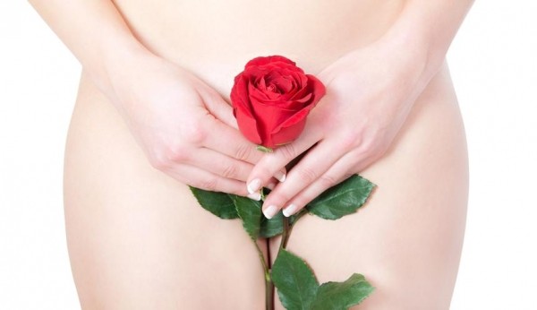 Йони-гид: все, что вам нужно знать о здоровье влагалища Йони-гид: все, что вам нужно знать о здоровье влагалища