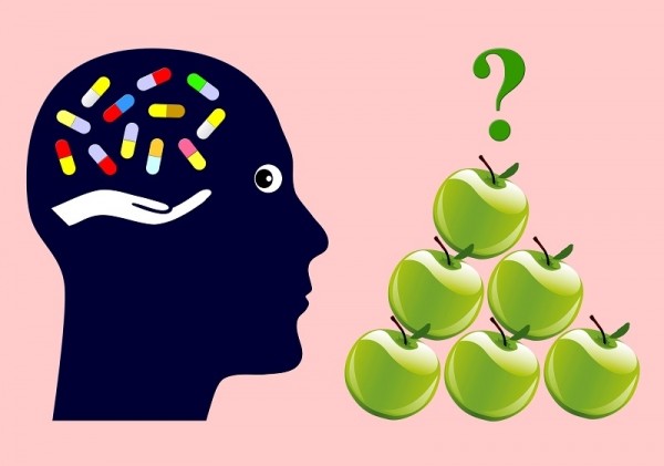 Какие сорта яблок посадить на дачном участке Какие сорта яблок посадить на дачном участке