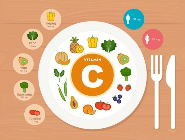 Какие сорта яблок посадить на дачном участке Какие сорта яблок посадить на дачном участке