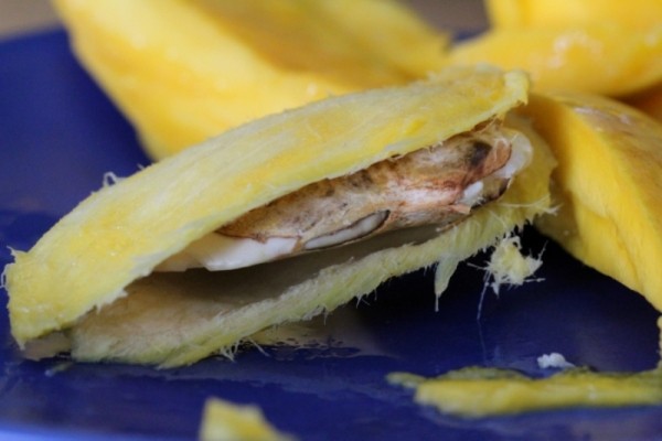 Косточка манго Косточка манго