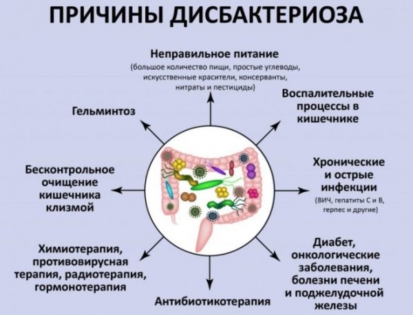 Лечение травами желудочно-кишечного тракта Лечение травами желудочно-кишечного тракта