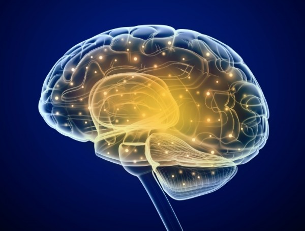 Почему нужно делать перерывы в процессе обучения Почему нужно делать перерывы в процессе обучения